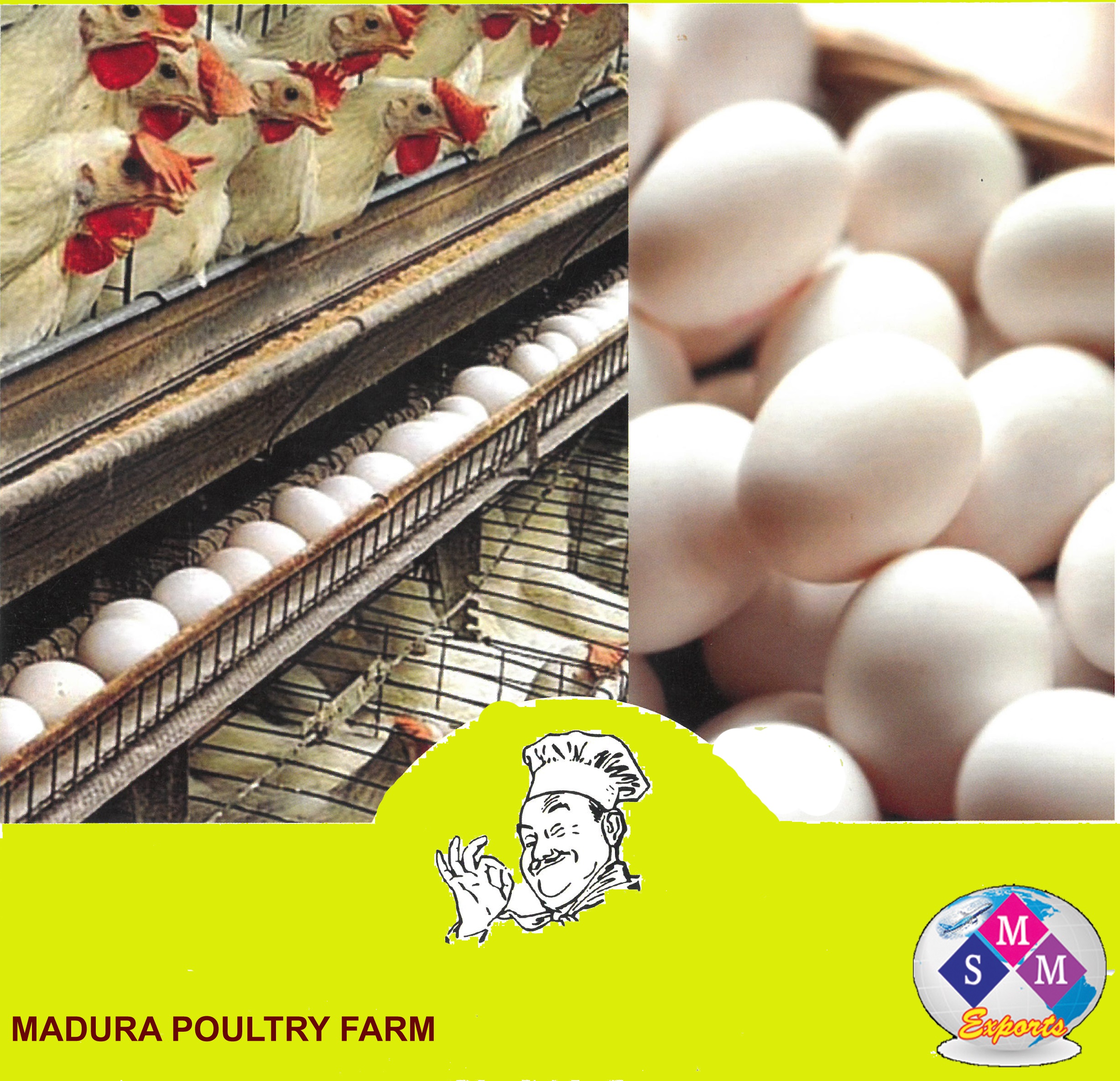 FARM FRESH CHICKEN EGGS